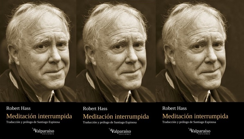 Meditación interrumpida de Robert Hass